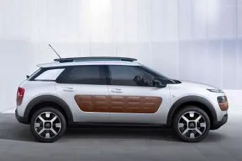 Citroën C4 Cactus PureTech 110 Feel - 30